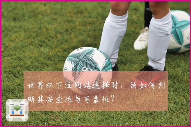 世界杯下注网站选择时，该如何判断其安全性与可靠性？